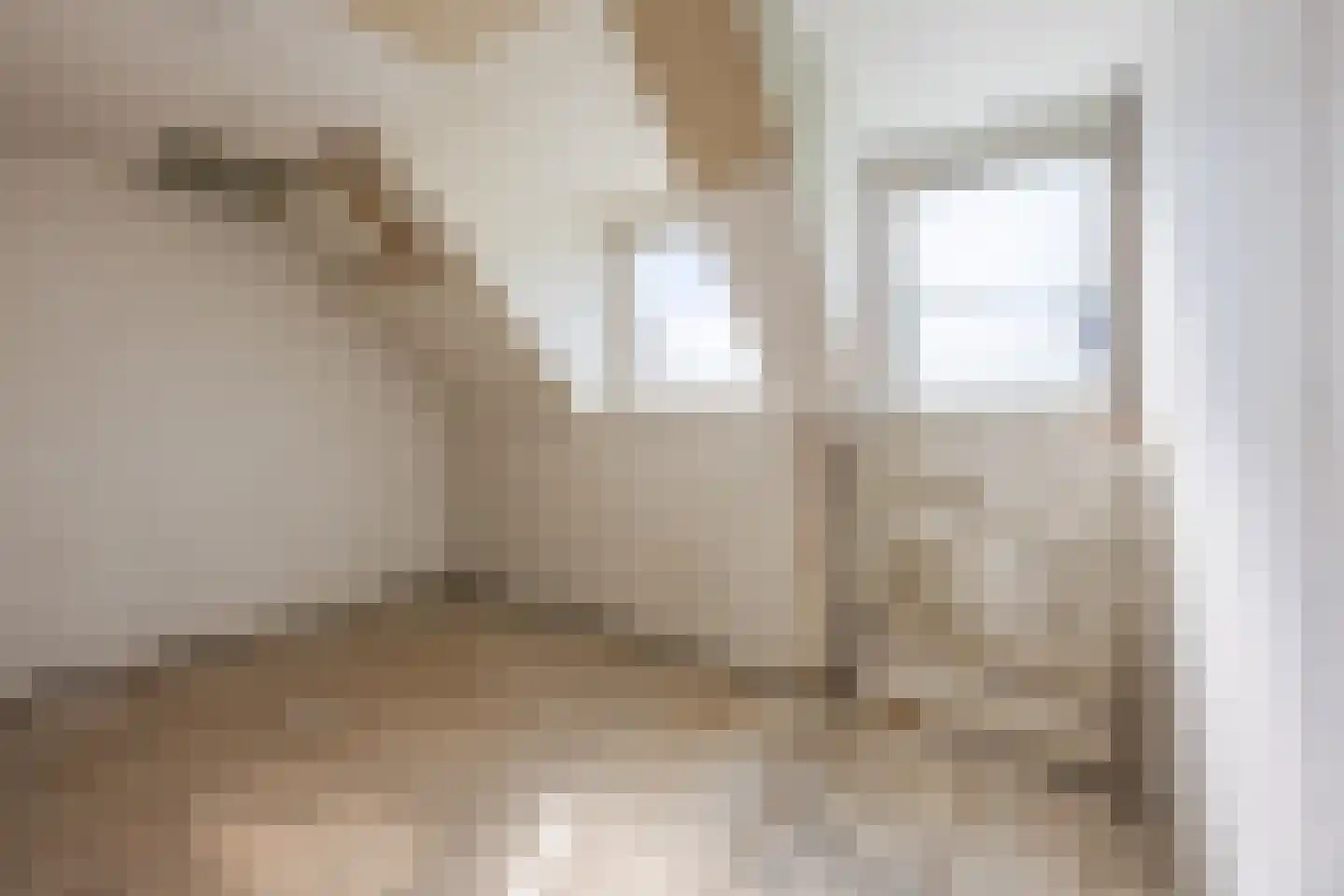 Appelaarsedijk 3 a Fijnaart thumbnail 31