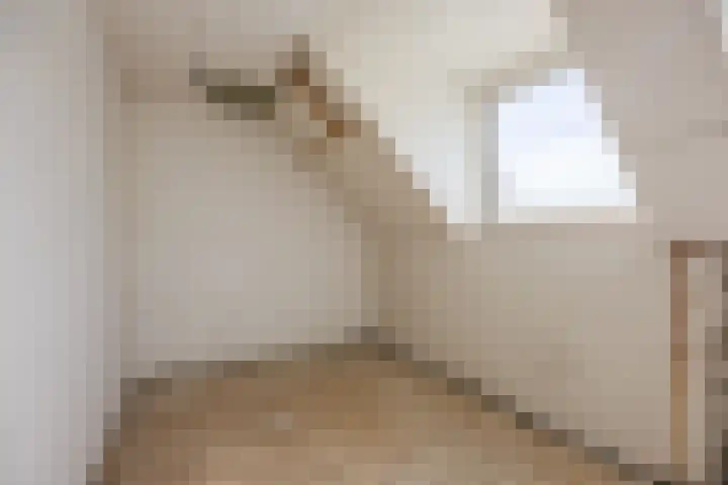 Appelaarsedijk 3 a Fijnaart thumbnail 32