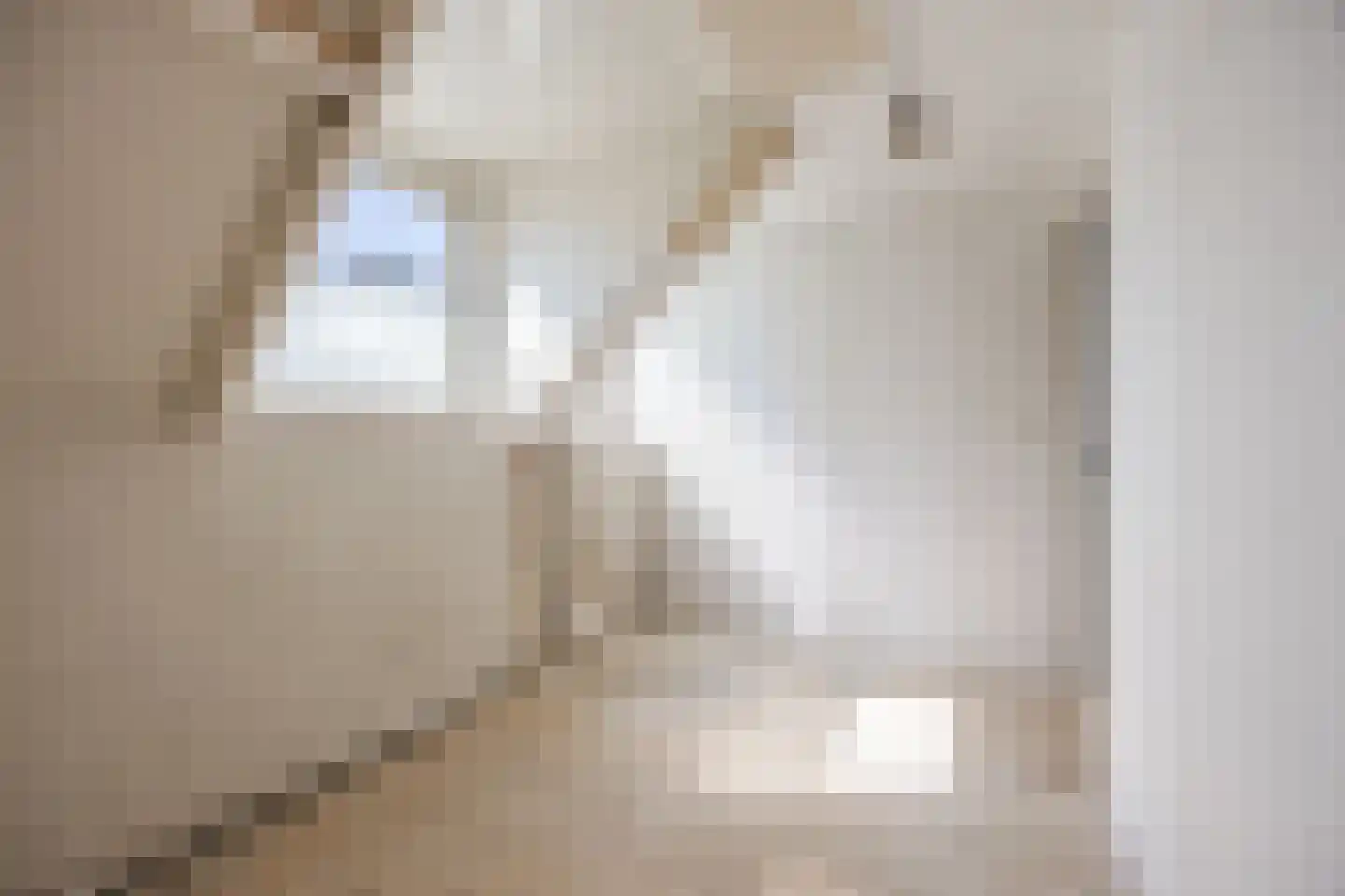Appelaarsedijk 3 a Fijnaart thumbnail 33