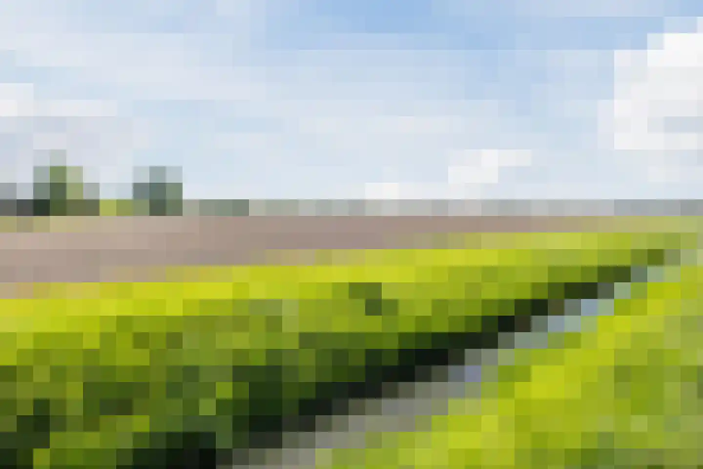 Appelaarsedijk 3 a Fijnaart thumbnail 42