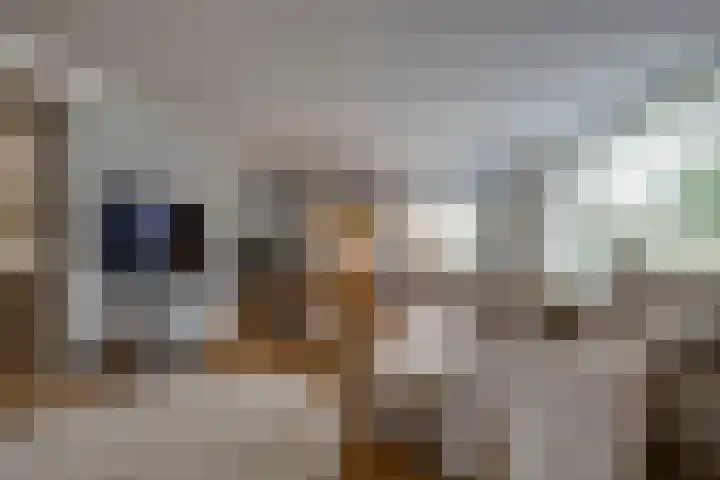 Appelaarseweg 27 Fijnaart thumbnail 11