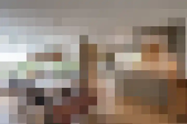 Appelaarseweg 27 Fijnaart thumbnail 16