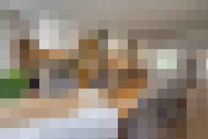 Appelaarseweg 27 Fijnaart thumbnail 17