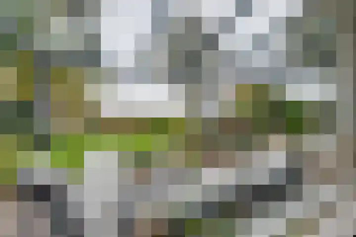 Appelaarseweg 27 Fijnaart thumbnail 18