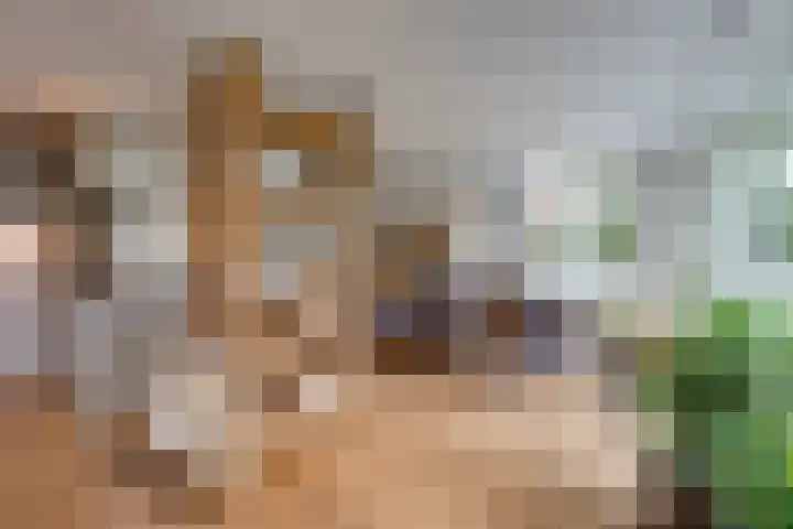 Appelaarseweg 27 Fijnaart thumbnail 24