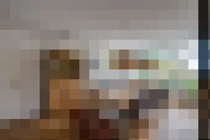 Appelaarseweg 27 Fijnaart thumbnail 26