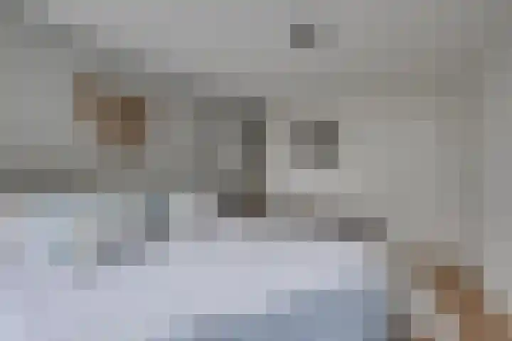 Appelaarseweg 27 Fijnaart thumbnail 29