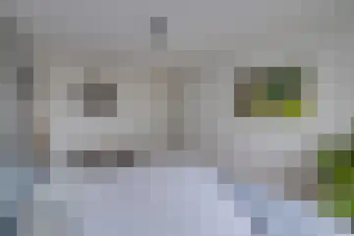 Appelaarseweg 27 Fijnaart thumbnail 30
