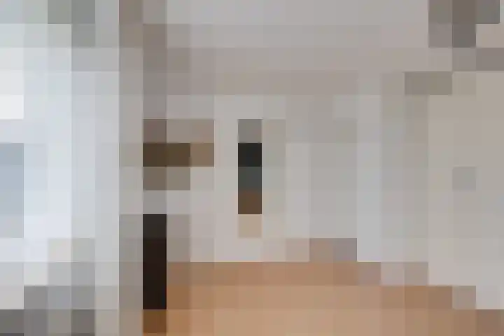 Appelaarseweg 27 Fijnaart thumbnail 33