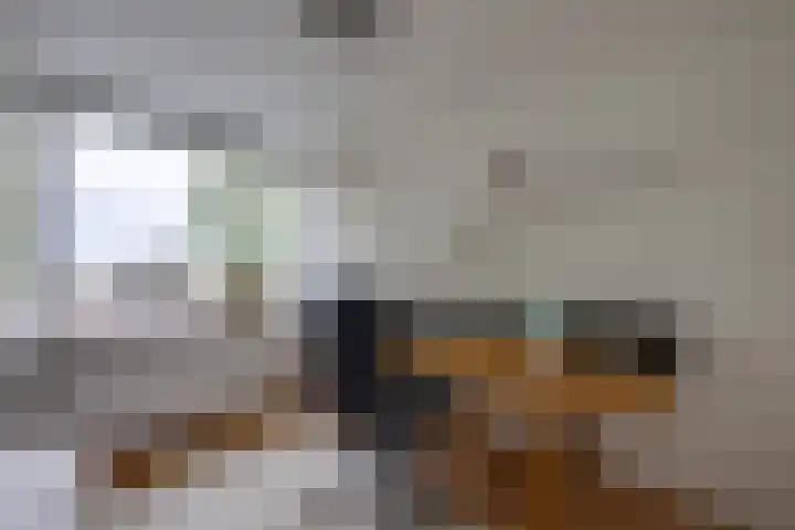 Appelaarseweg 27 Fijnaart thumbnail 35