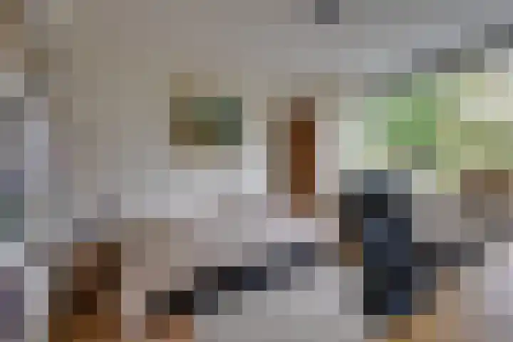 Appelaarseweg 27 Fijnaart thumbnail 36