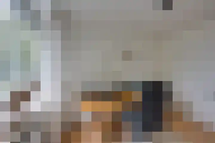 Appelaarseweg 27 Fijnaart thumbnail 37