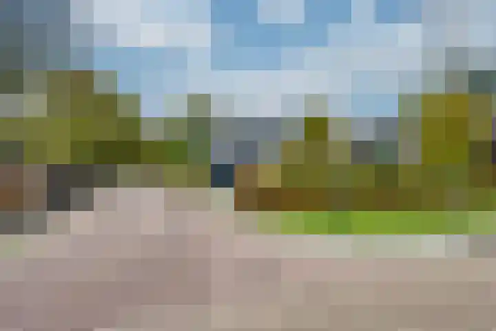 Appelaarseweg 27 Fijnaart thumbnail 4