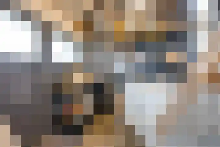 Appelaarseweg 27 Fijnaart thumbnail 42