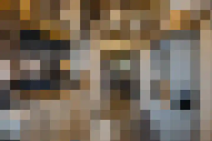 Appelaarseweg 27 Fijnaart thumbnail 43