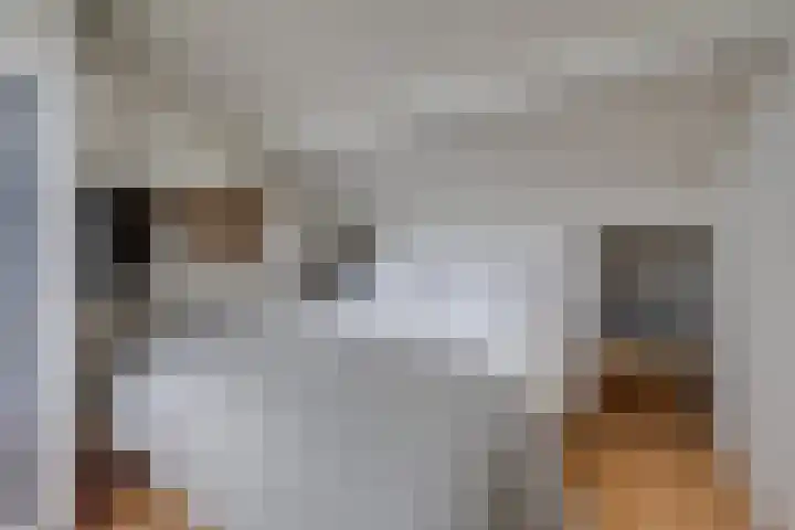 Appelaarseweg 27 Fijnaart thumbnail 46