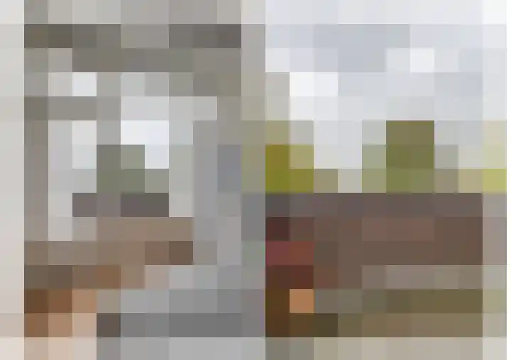 Appelaarseweg 27 Fijnaart thumbnail 47