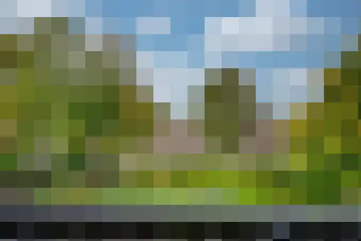 Appelaarseweg 27 Fijnaart thumbnail 49