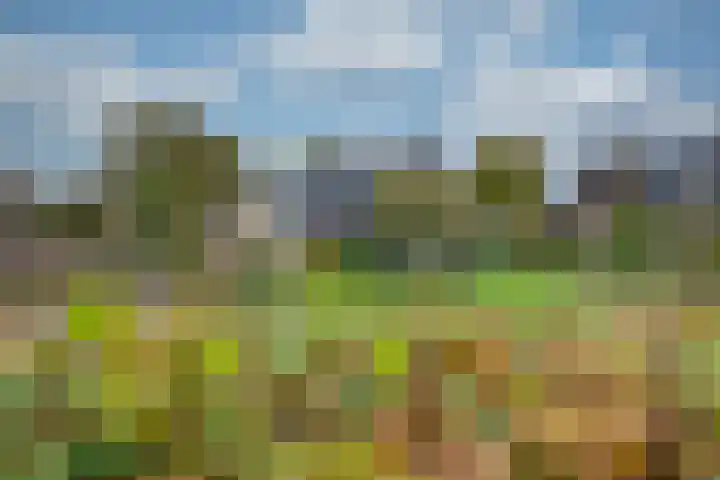 Appelaarseweg 27 Fijnaart thumbnail 5