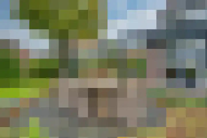 Appelaarseweg 27 Fijnaart thumbnail 53