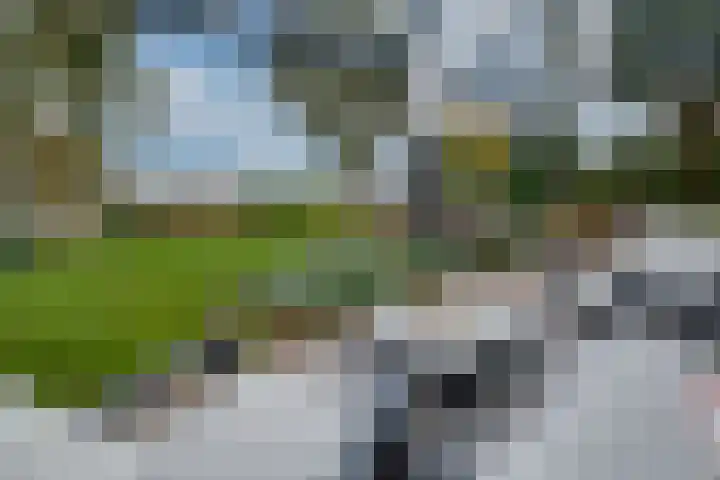 Appelaarseweg 27 Fijnaart thumbnail 54