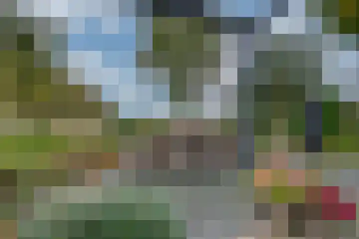 Appelaarseweg 27 Fijnaart thumbnail 55