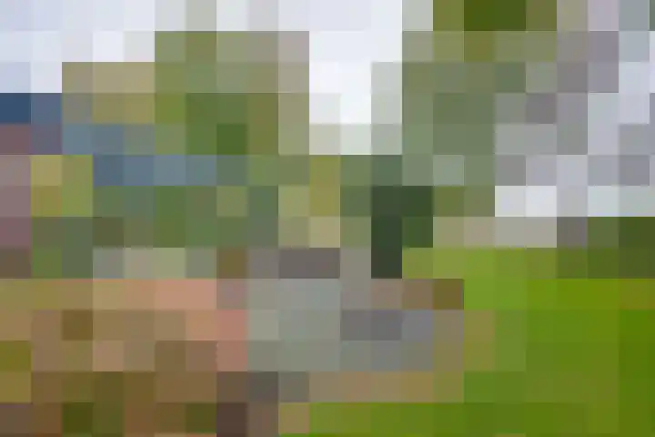 Appelaarseweg 27 Fijnaart thumbnail 58