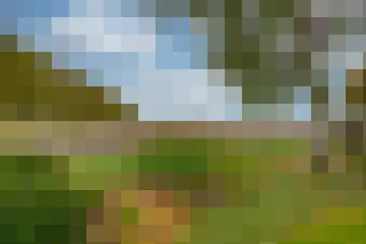 Appelaarseweg 27 Fijnaart thumbnail 59