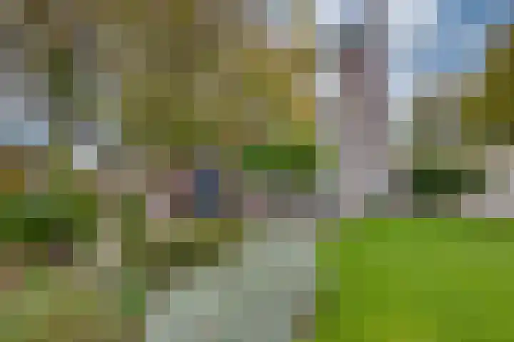 Appelaarseweg 27 Fijnaart thumbnail 6