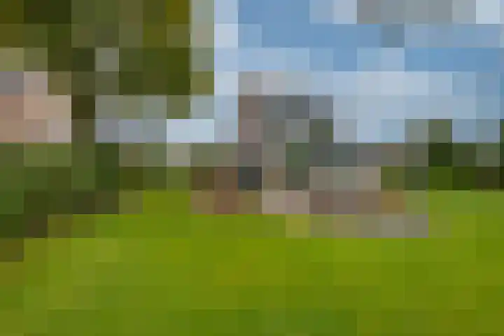 Appelaarseweg 27 Fijnaart thumbnail 60