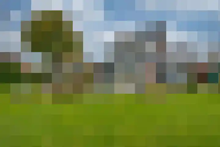 Appelaarseweg 27 Fijnaart thumbnail 61