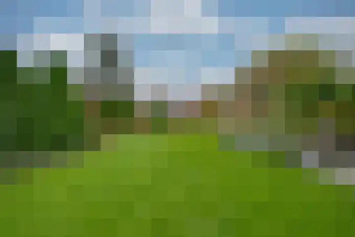 Appelaarseweg 27 Fijnaart thumbnail 62