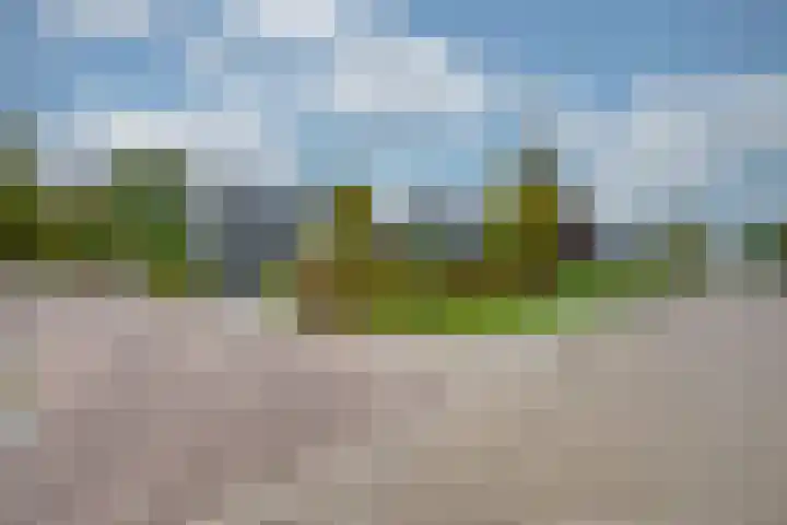 Appelaarseweg 27 Fijnaart thumbnail 66