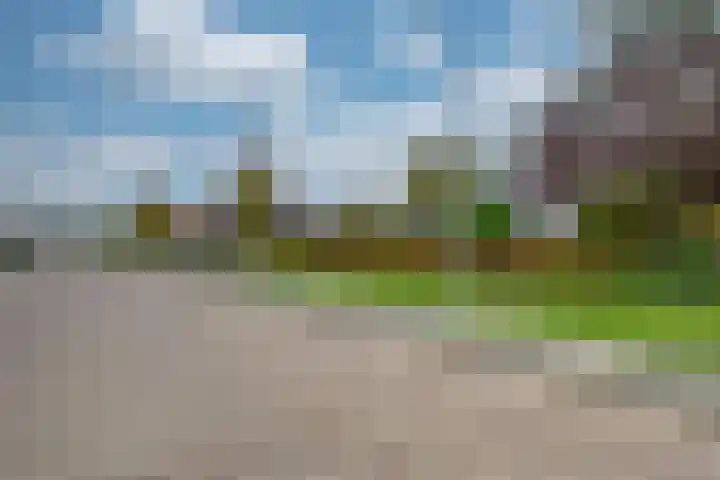 Appelaarseweg 27 Fijnaart thumbnail 67
