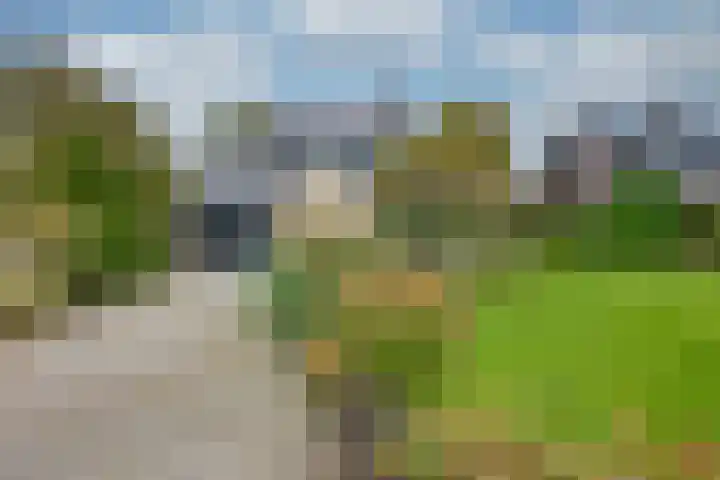 Appelaarseweg 27 Fijnaart thumbnail 7