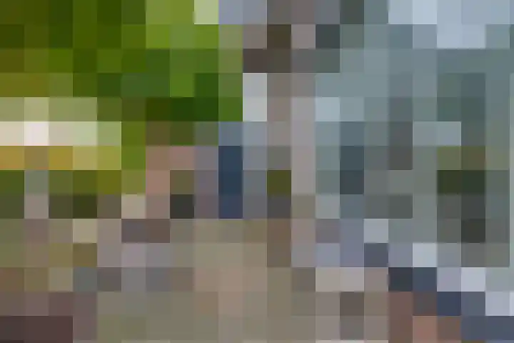 Appelaarseweg 27 Fijnaart thumbnail 8