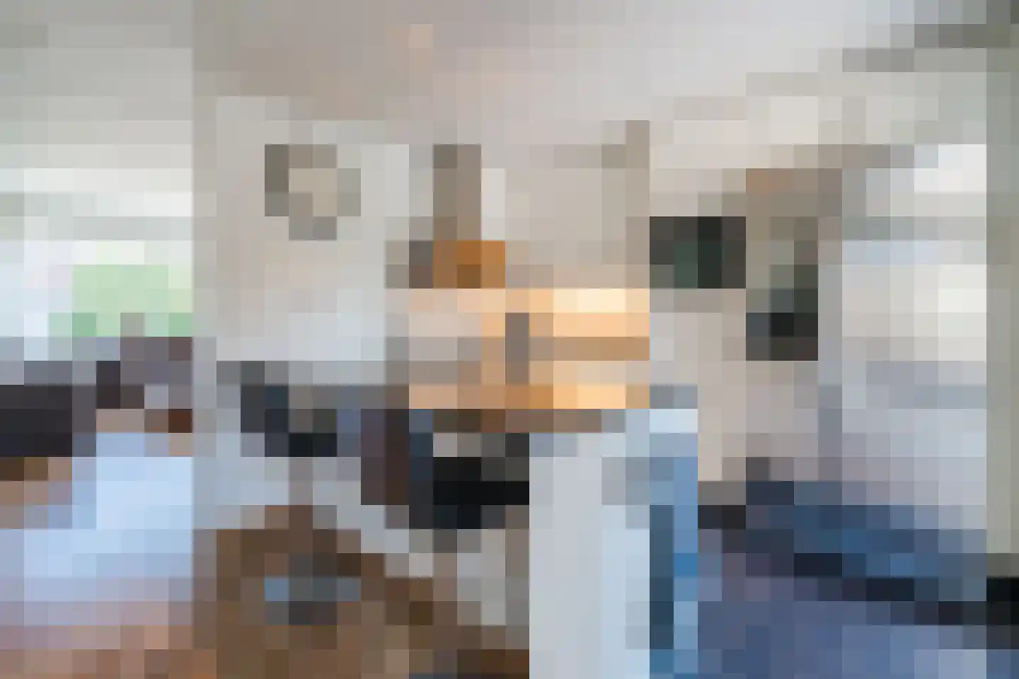 Appelakker 21 Cothen thumbnail 13