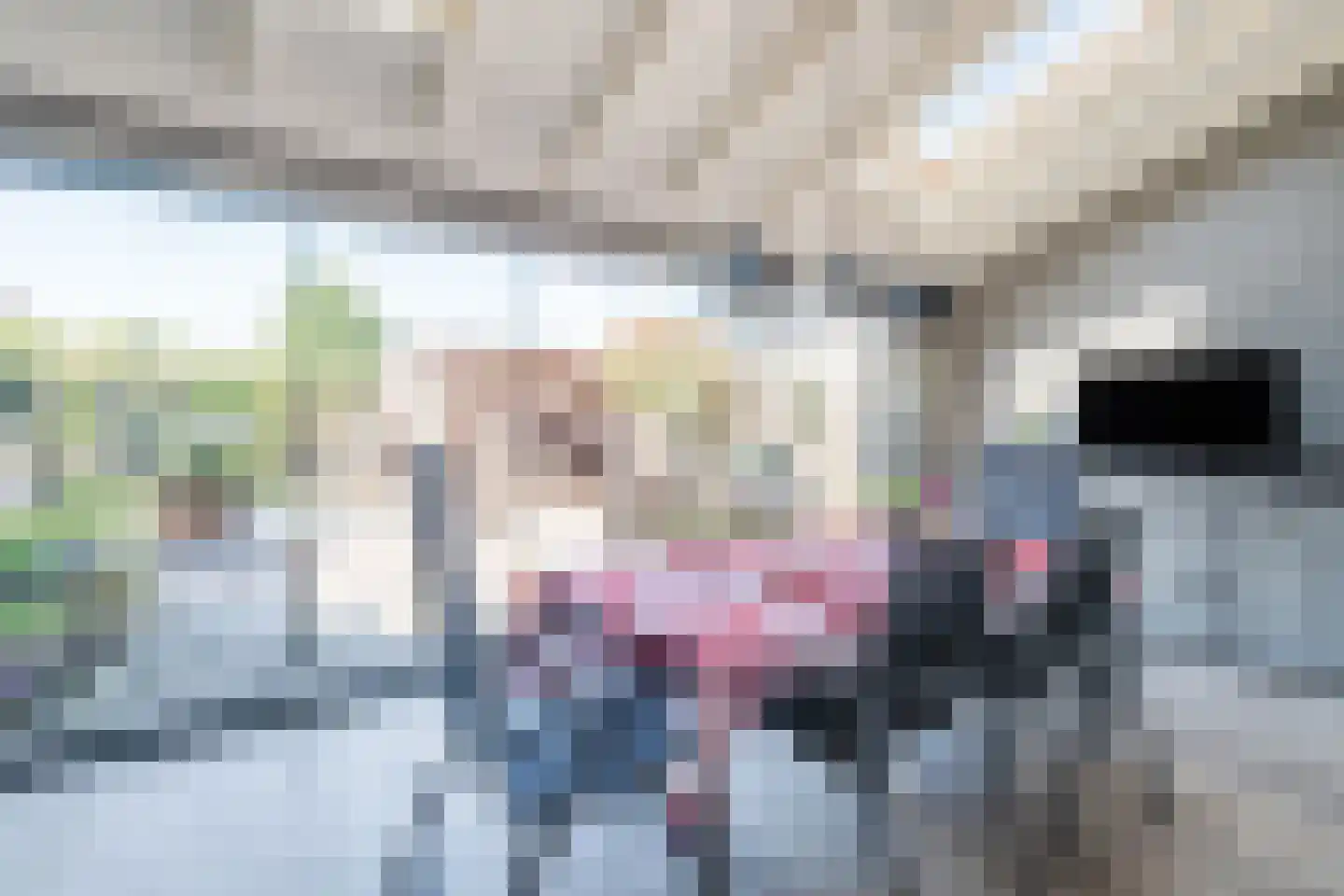 Appelakker 21 Cothen thumbnail 19
