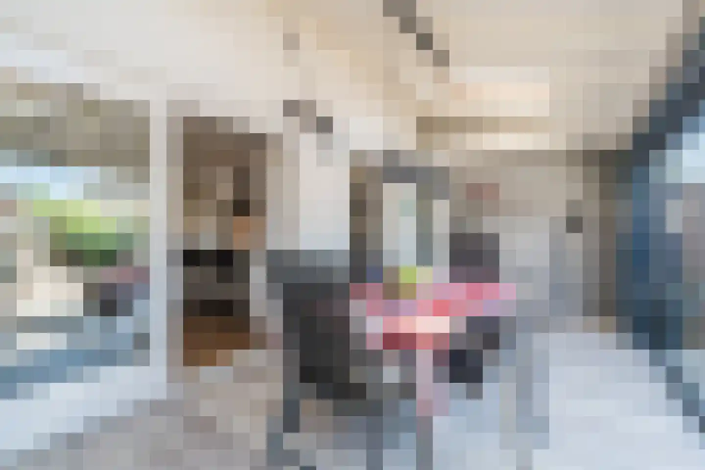 Appelakker 21 Cothen thumbnail 21
