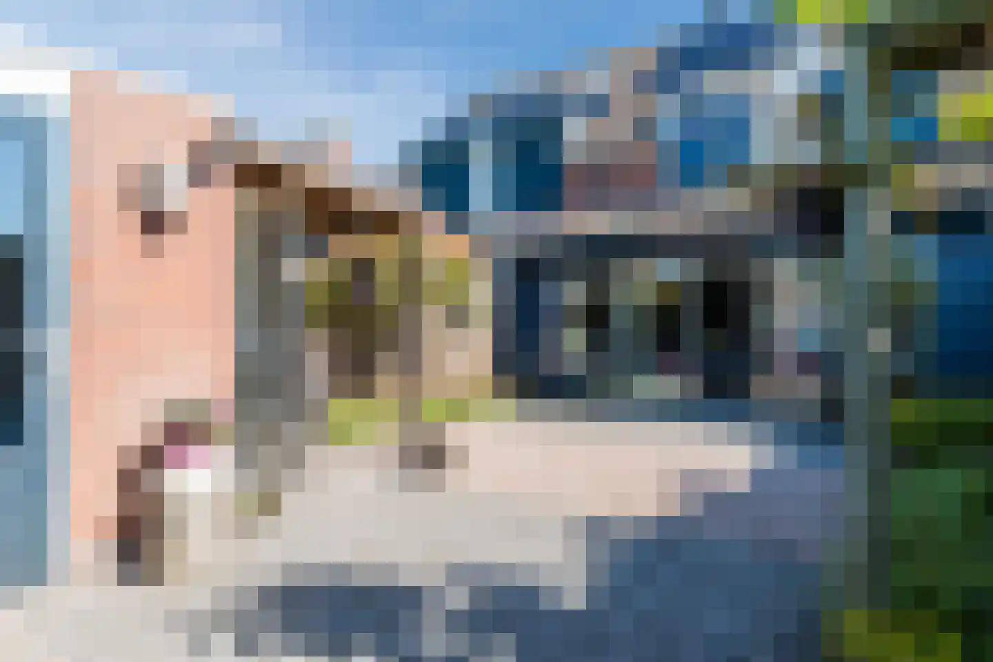 Appelakker 21 Cothen thumbnail 22