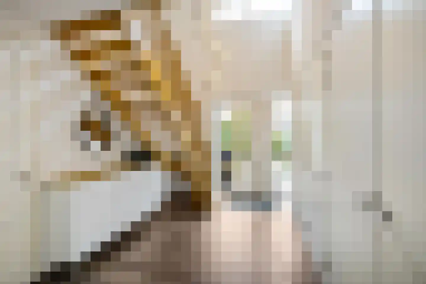Appelakkers 5 Annen thumbnail 13