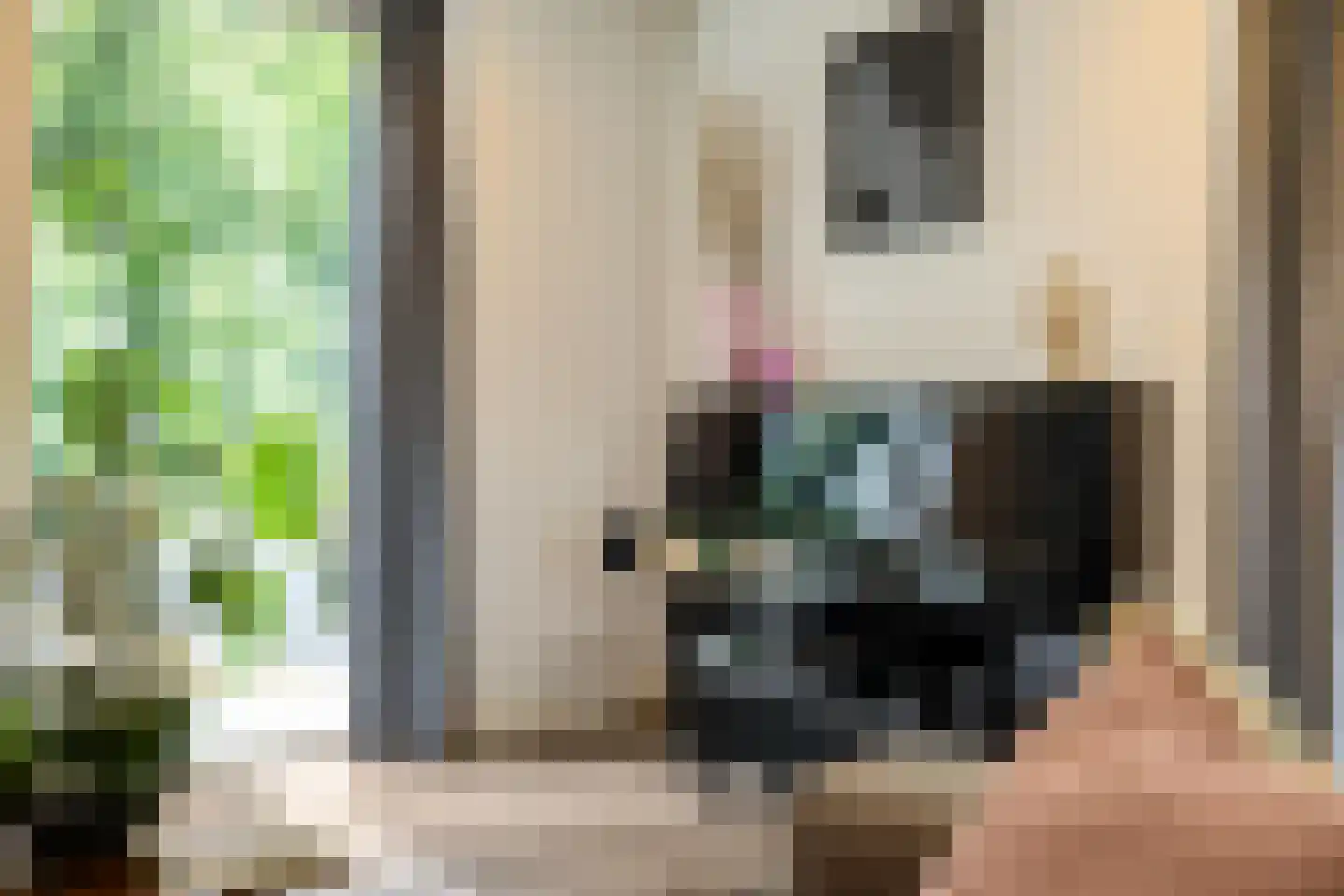 Appelakkers 5 Annen thumbnail 29