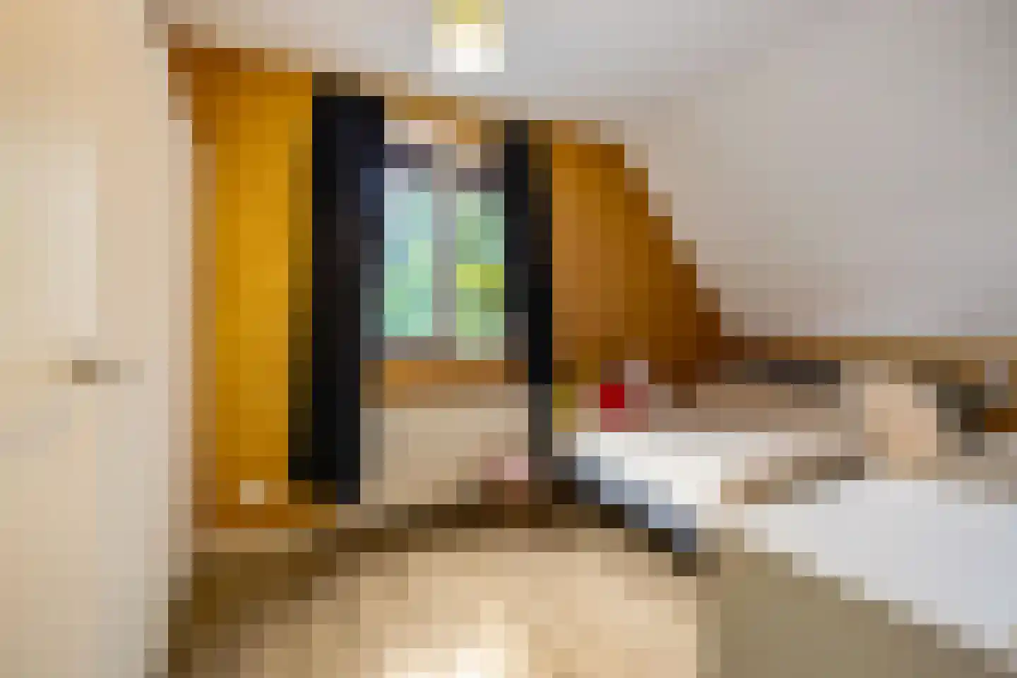 Appelakkers 5 Annen thumbnail 39