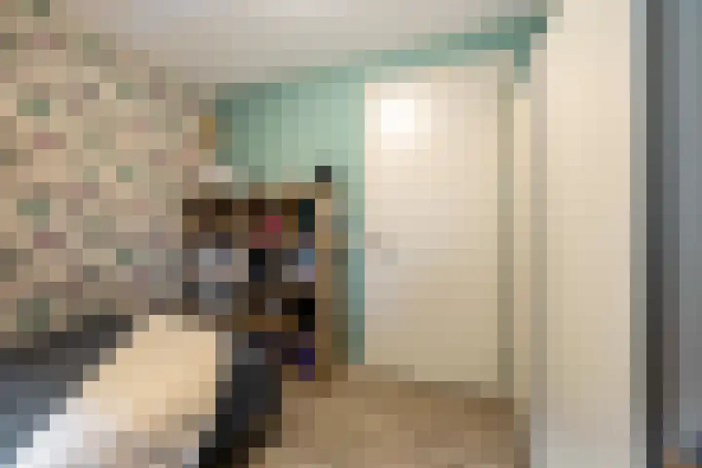 Appelakkers 5 Annen thumbnail 42