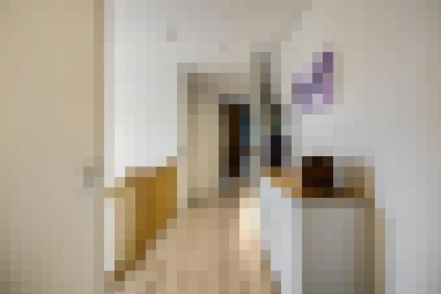 Appelakkers 5 Annen thumbnail 48