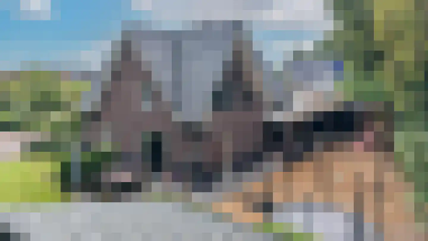 Appelakkers 5 Annen thumbnail 5