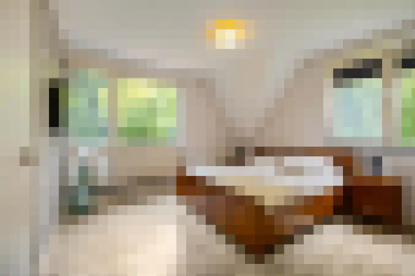 Appelakkers 5 Annen thumbnail 50
