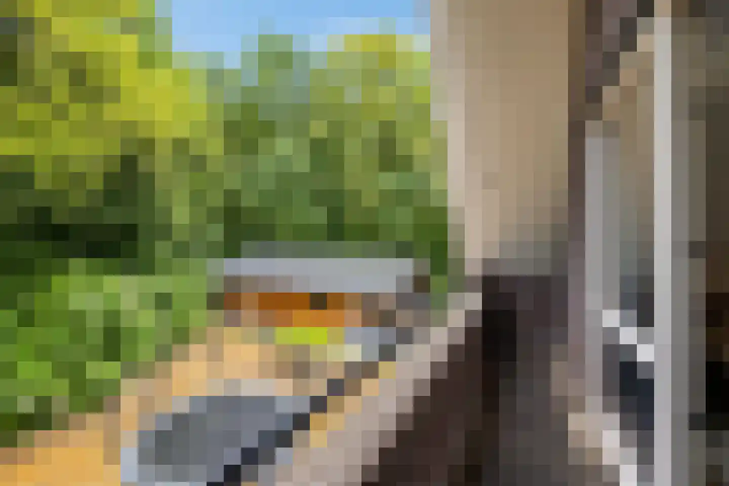 Appelakkers 5 Annen thumbnail 56