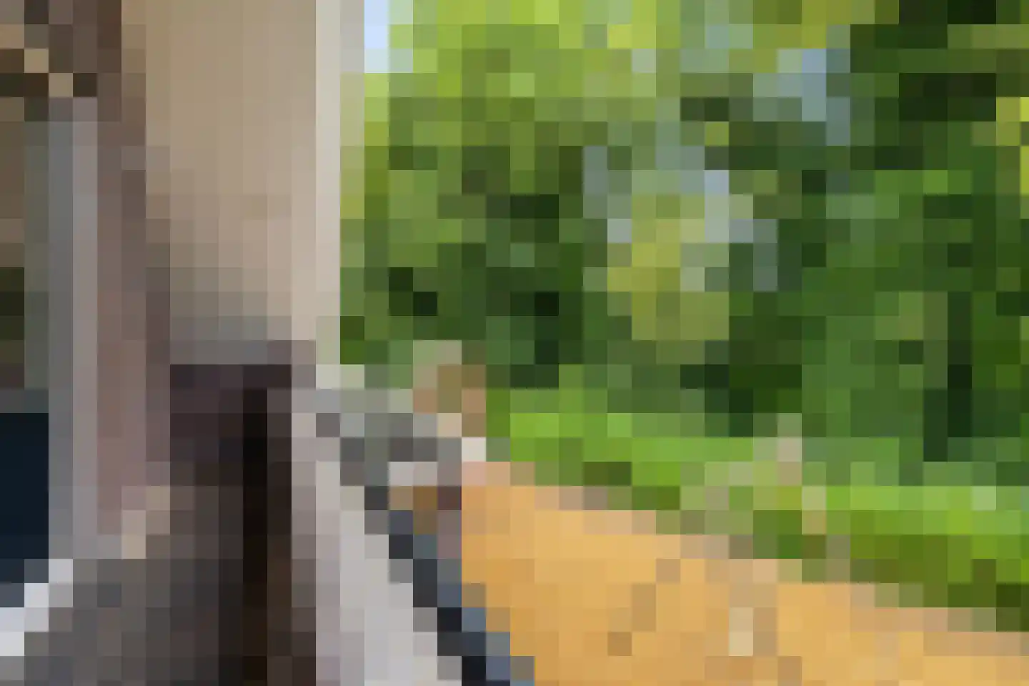 Appelakkers 5 Annen thumbnail 57