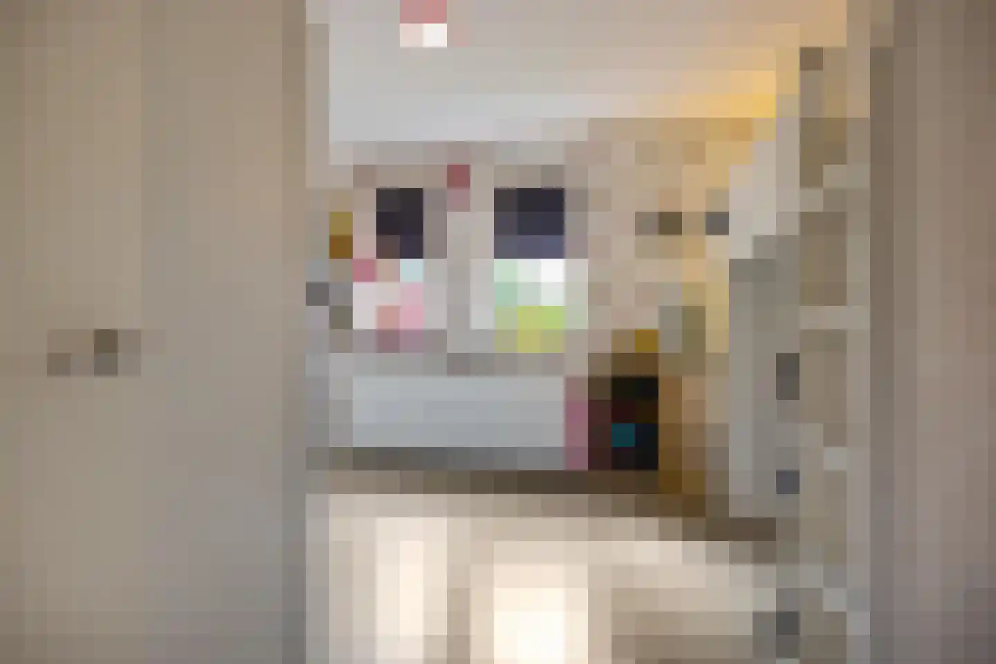 Appelakkers 5 Annen thumbnail 58